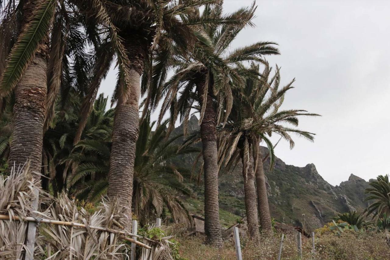 Oasis Atlantico: Rincon Secreto Al Pie De Los Senderos Azano Exterior foto